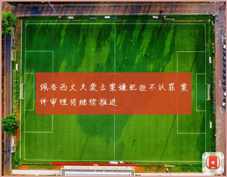 佩洛西丈夫袭击案嫌犯拒不认罪 案件审理将继续推进